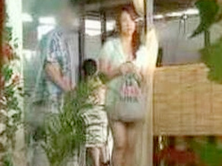 Fucking a Chinese Girl's Nippon Paradise